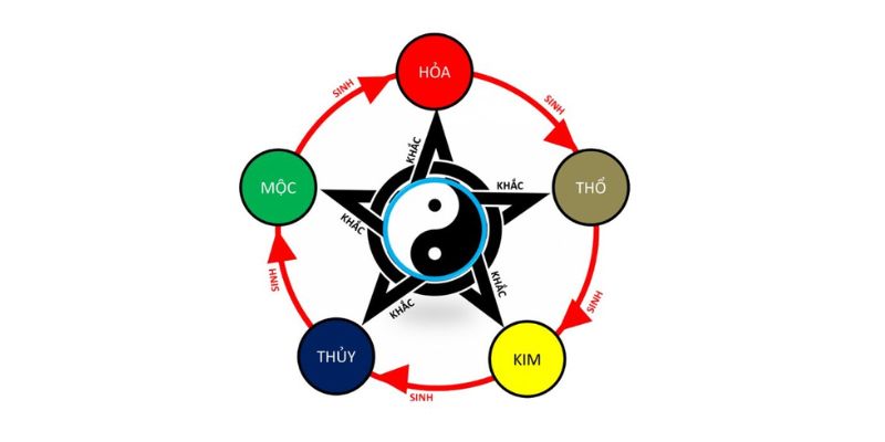 Giới thiệu xem màu mạng gà đá là gì?