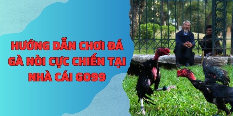 Hướng dẫn chơi đá gà nòi cực chiến tại nhà cái Go99